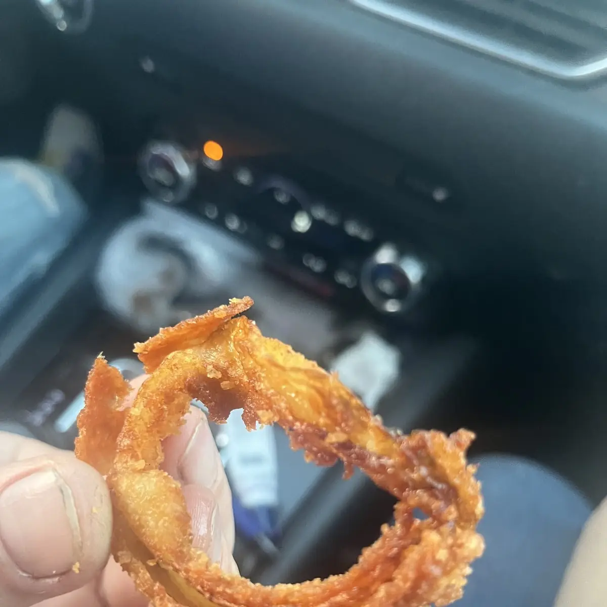 Hand Made Onion Rings