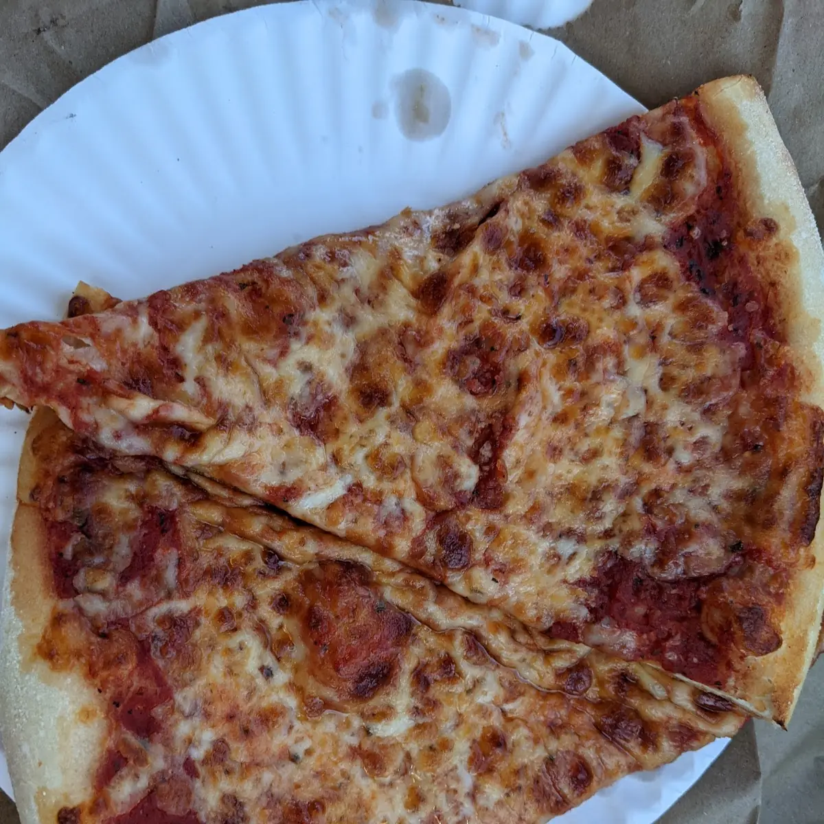 Cheese Pizza Slice