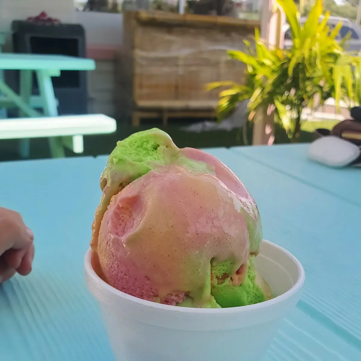 Rainbow Sherbet