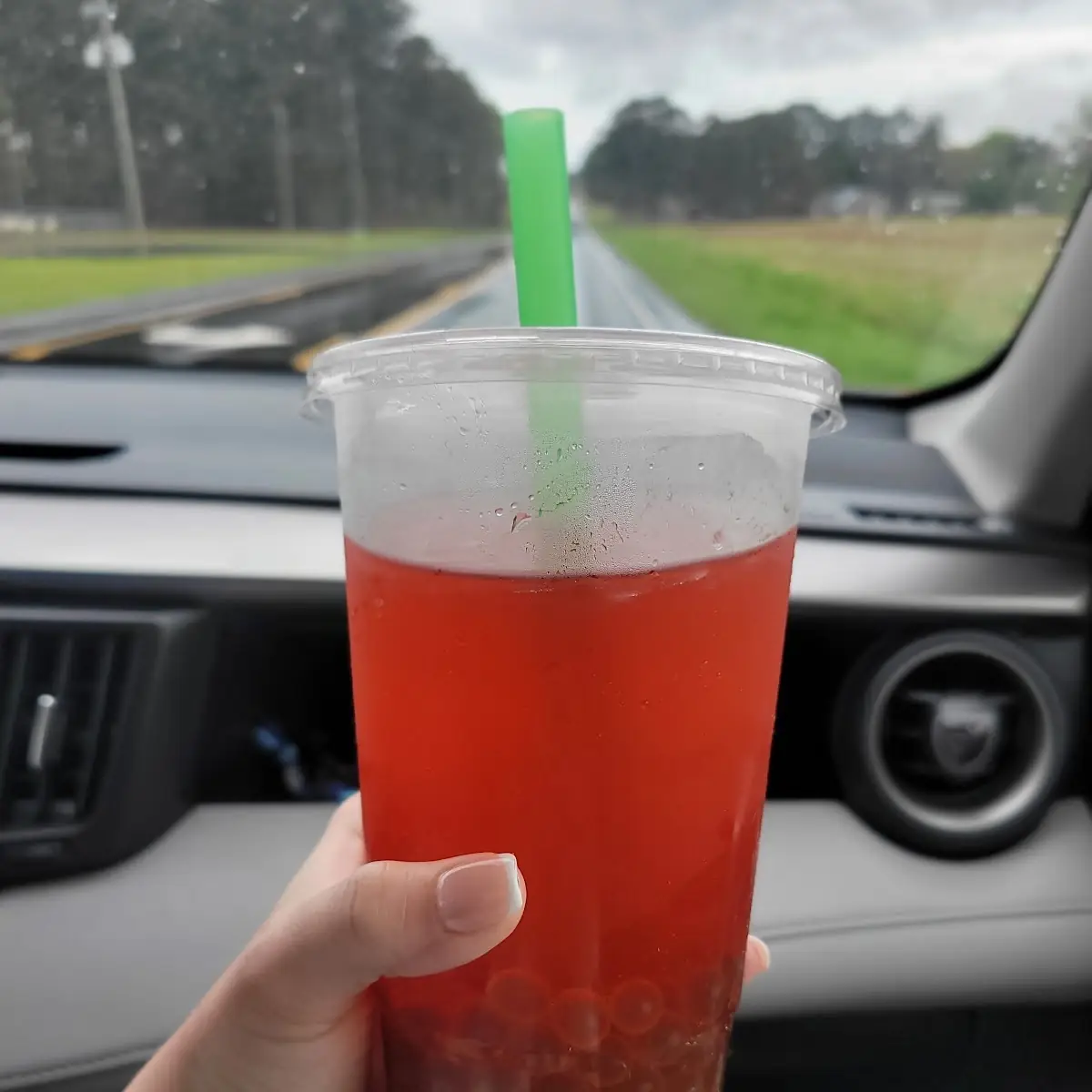 Watermelon Fruit Tea