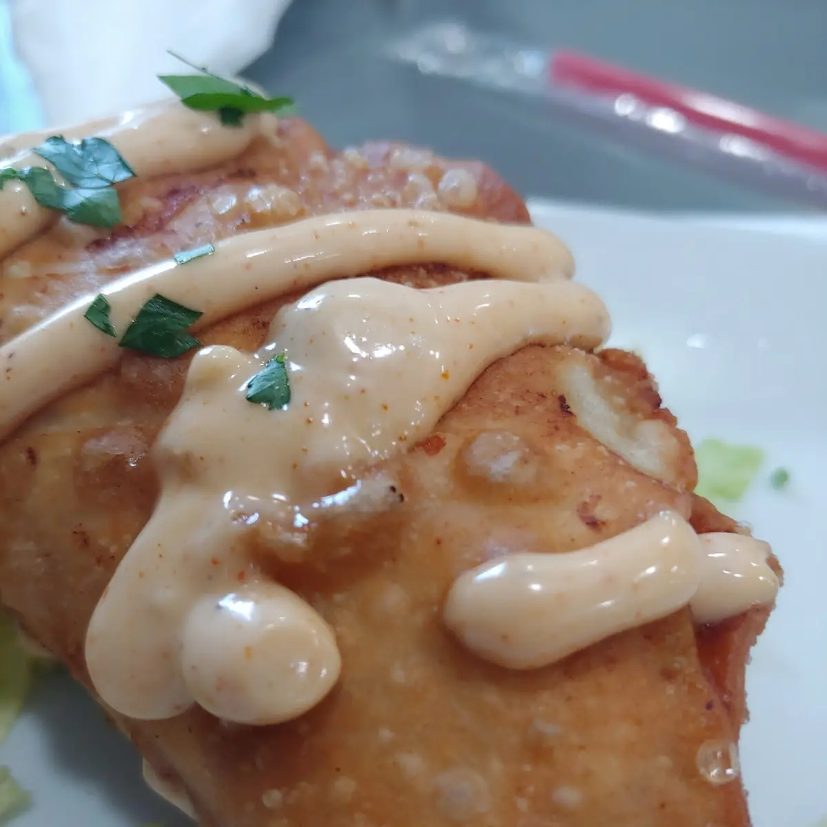 Beef Empanada