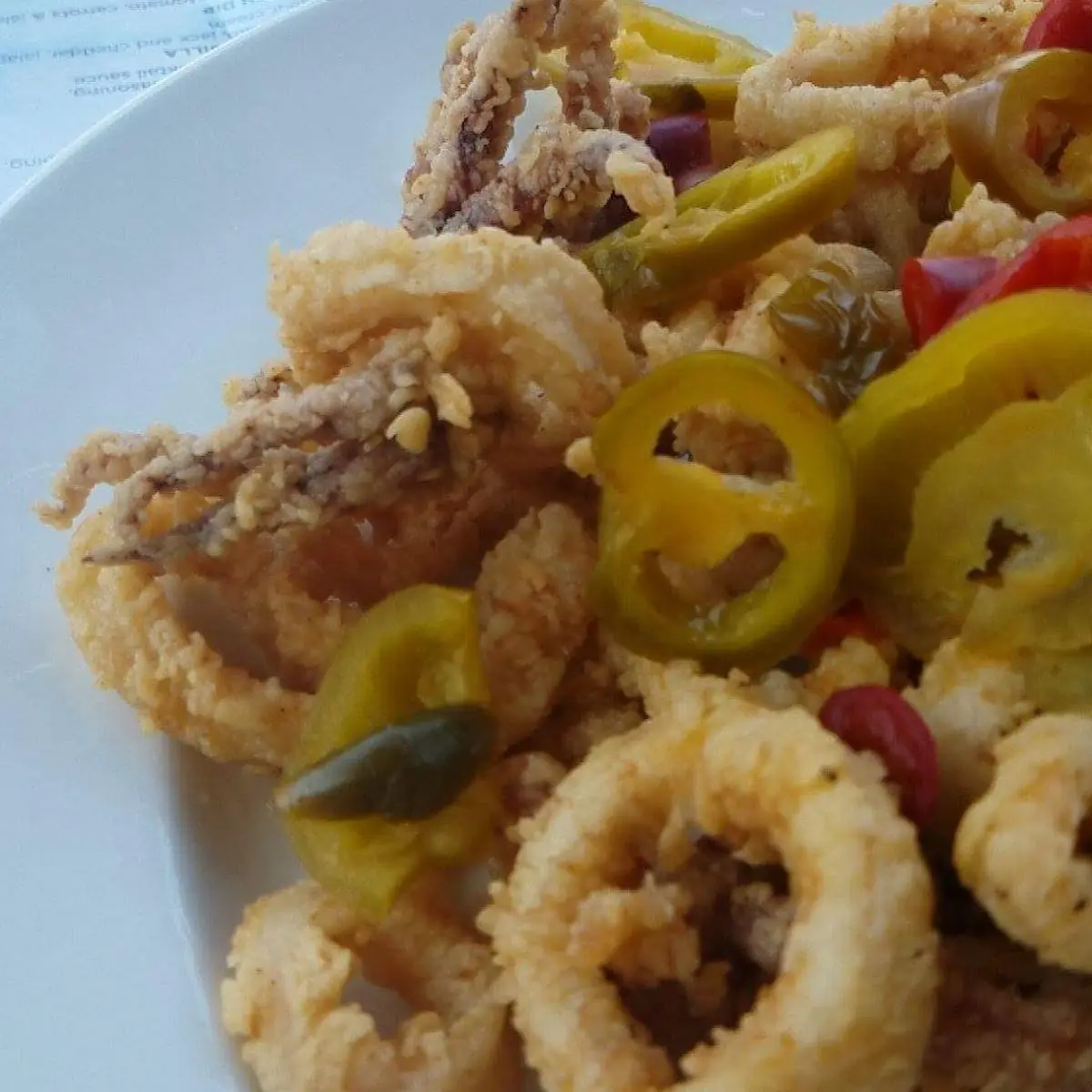 Point Judith Calamari
