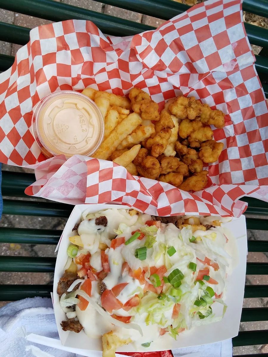 Gator Bites
