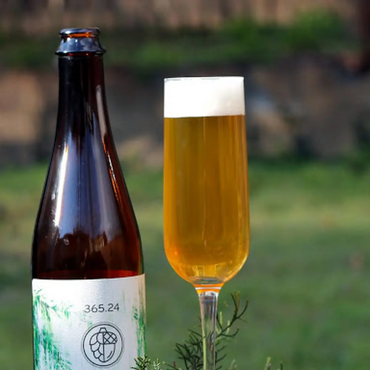 Citra Pale Ale