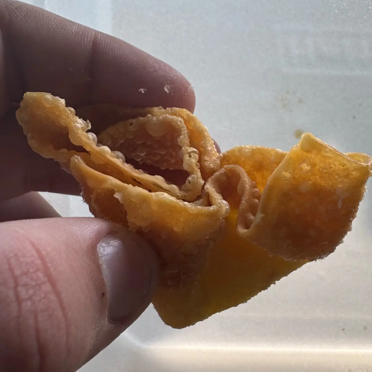Fried Crab & Cheese Rangoon 6