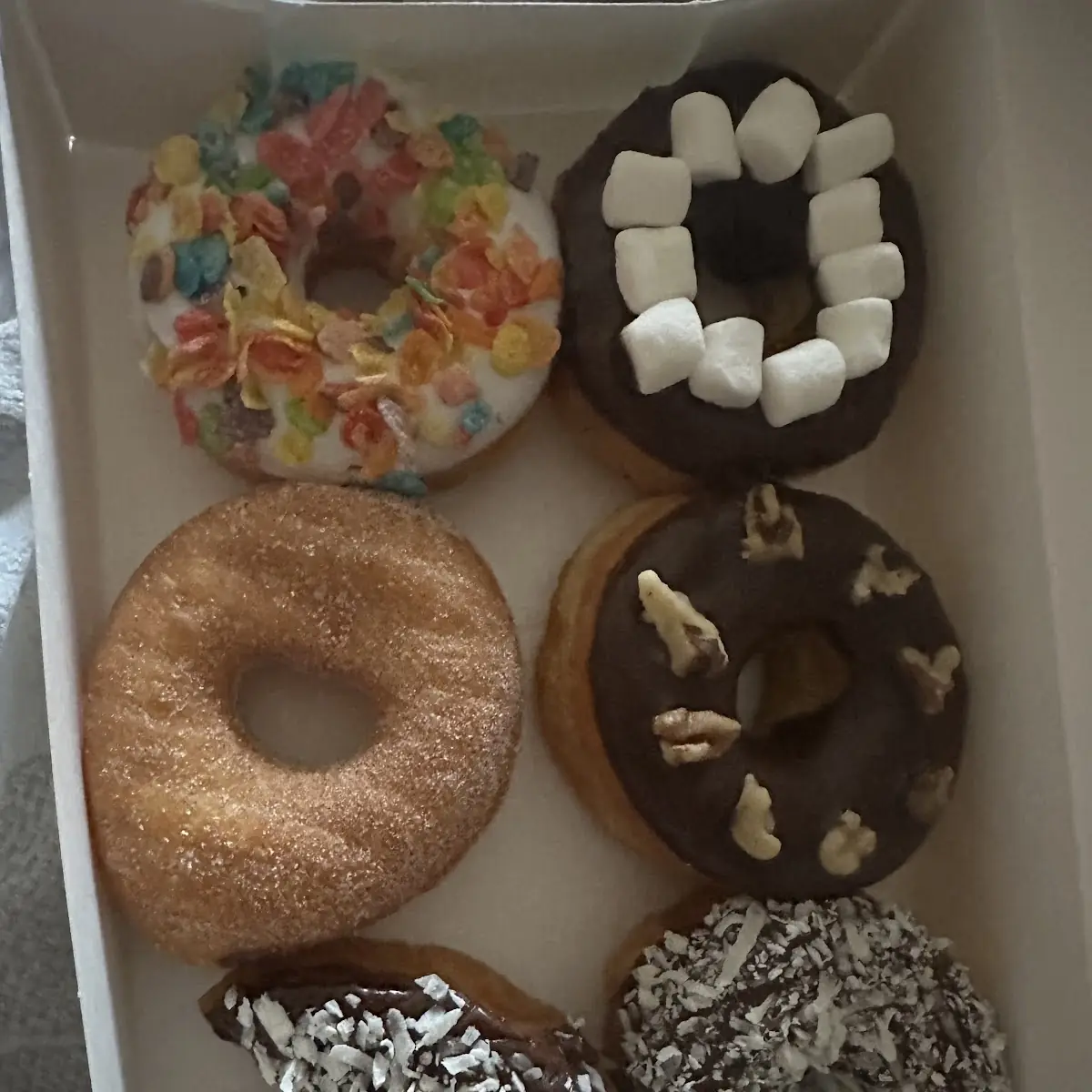 Doughnut