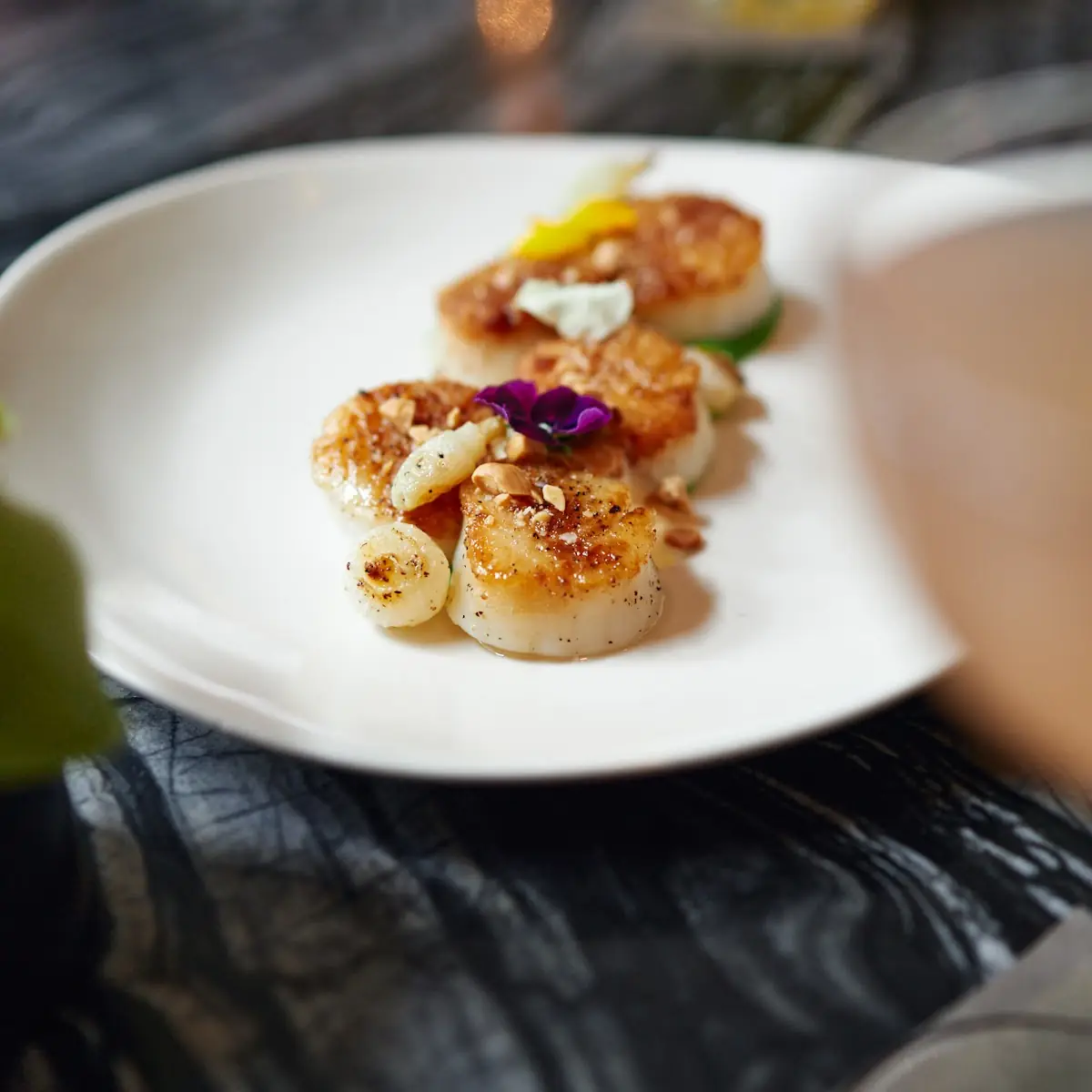 Seared Scallops