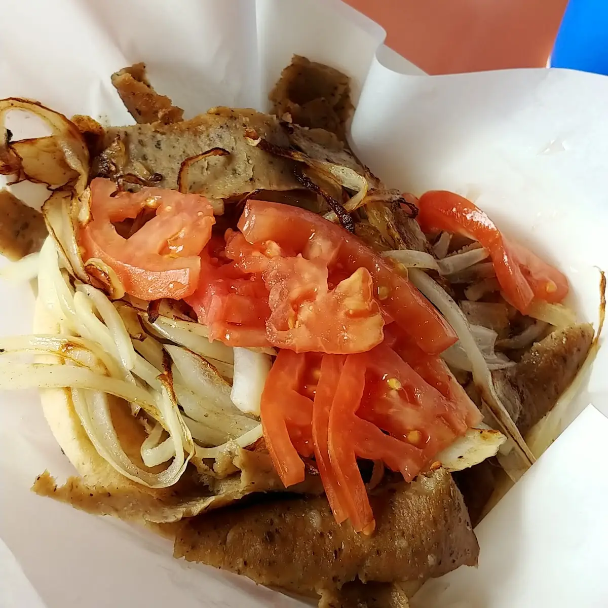 Gyro Sandwich with Tomatoes and Fried Onions