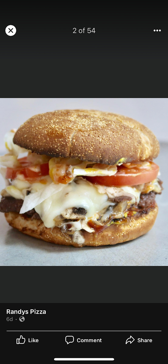 Mushroom & Mozzaburger, Randy's Pizza - Kearney Lake