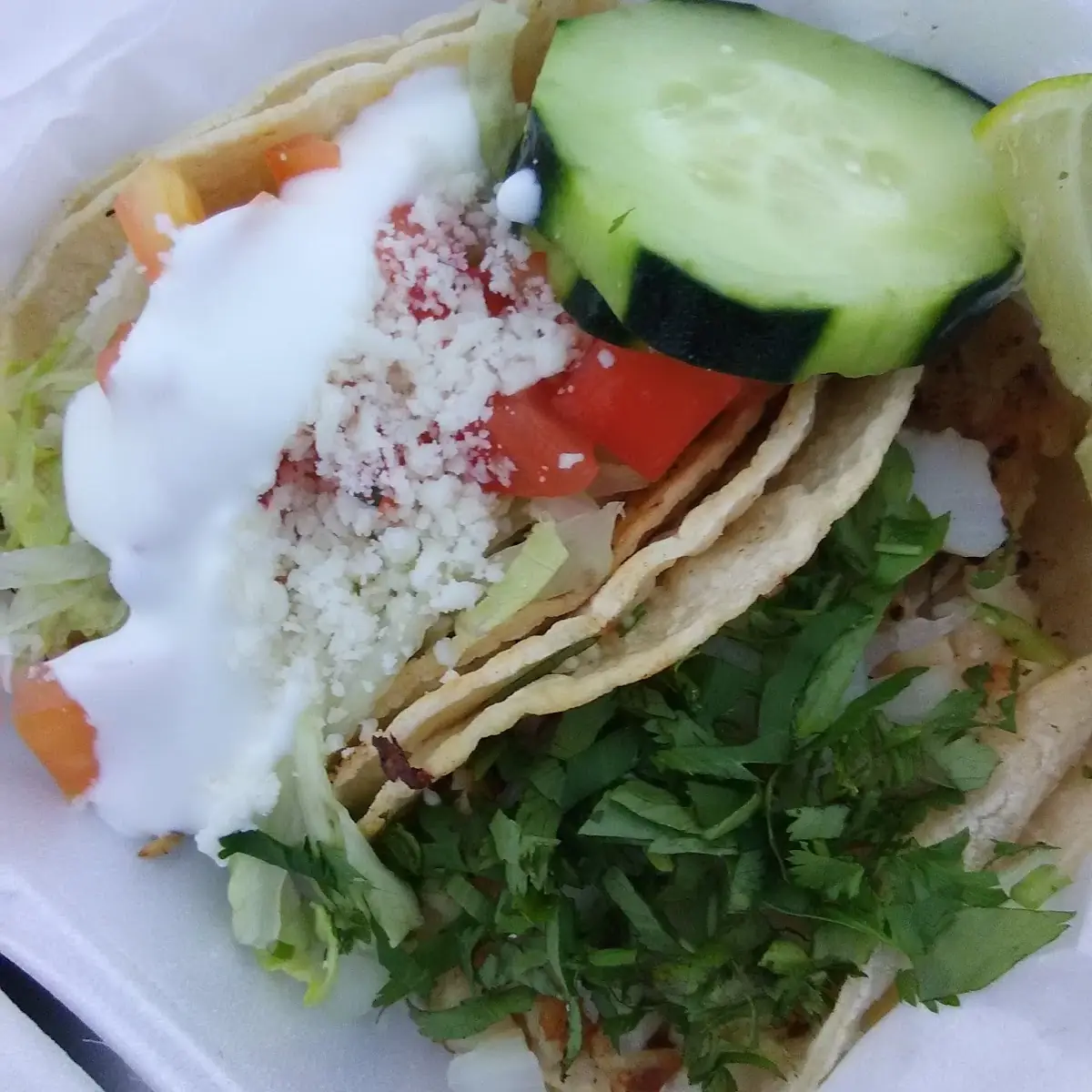 Fish Tacos Americano Y Mexicano