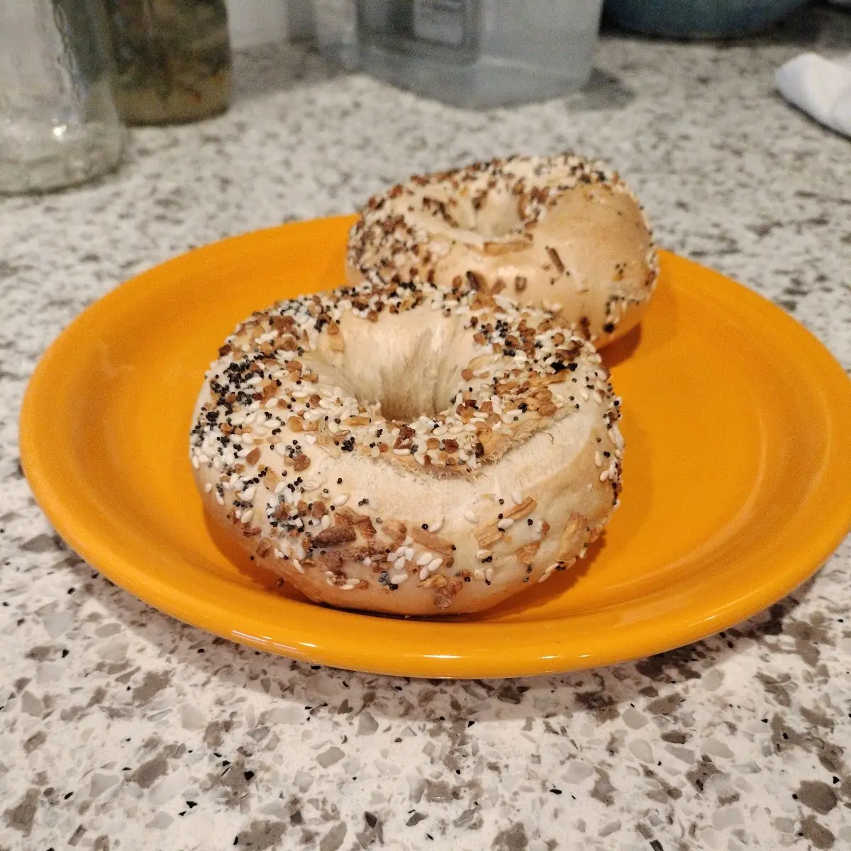 Garlic Salt Bagel Chip
