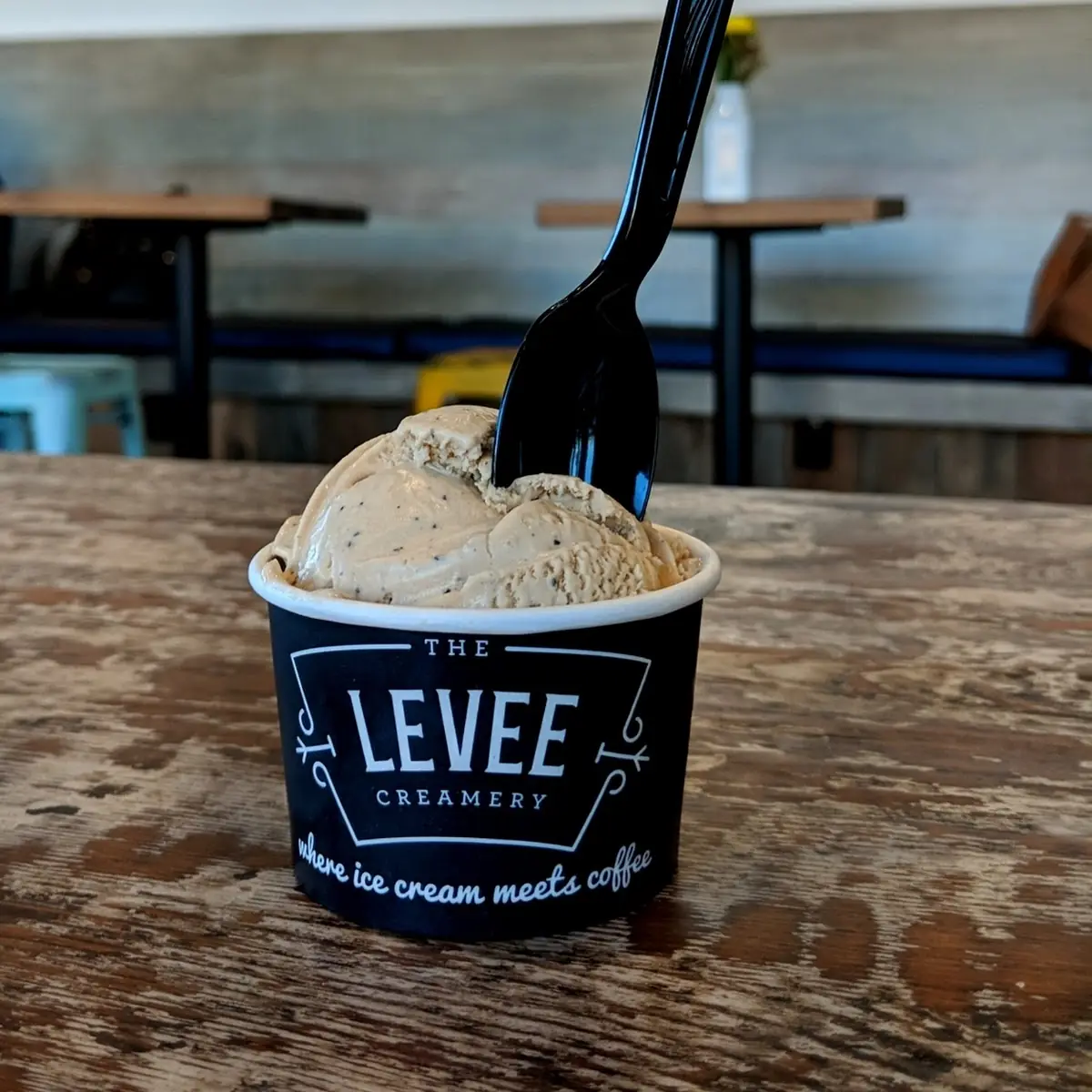 Mint Chocolate Ice Cream