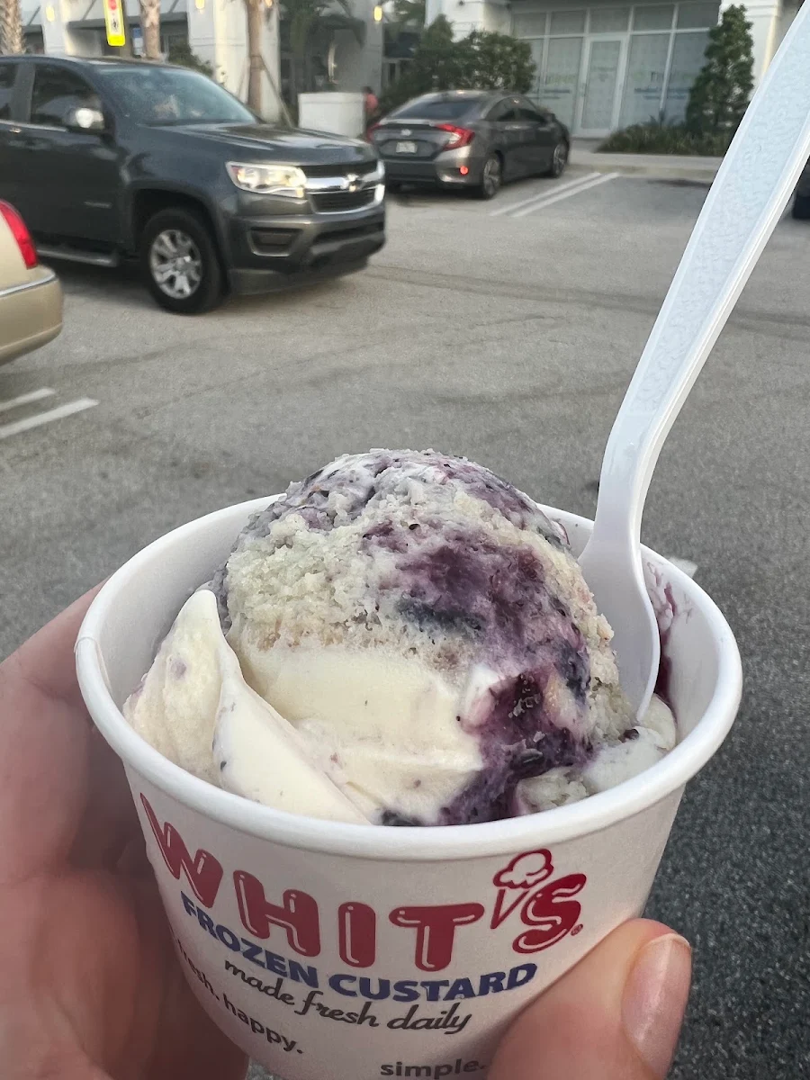 Blueberry Muffin