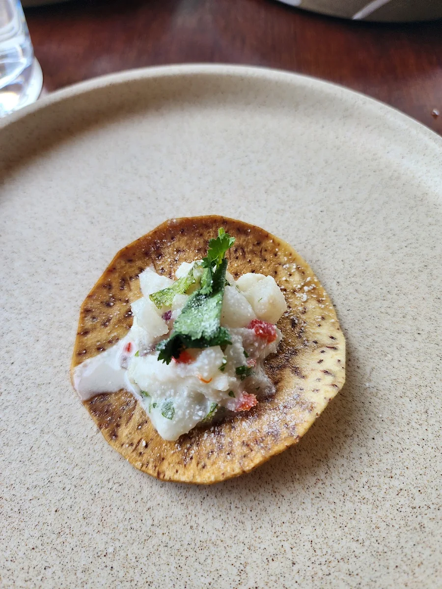 Ceviche, Little Sister Restaurant & Cocktail Bar