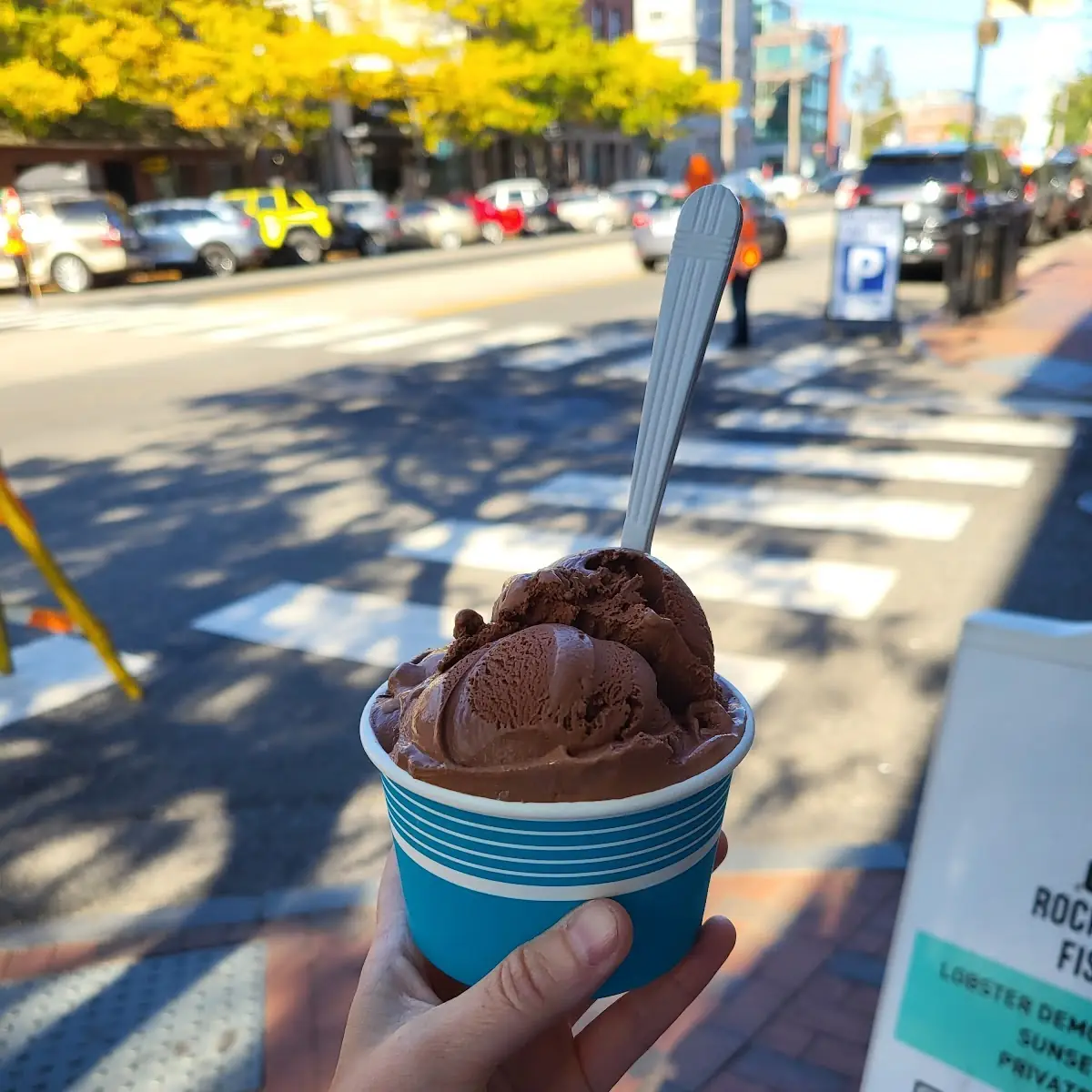 Small Chocolate Ice Cream