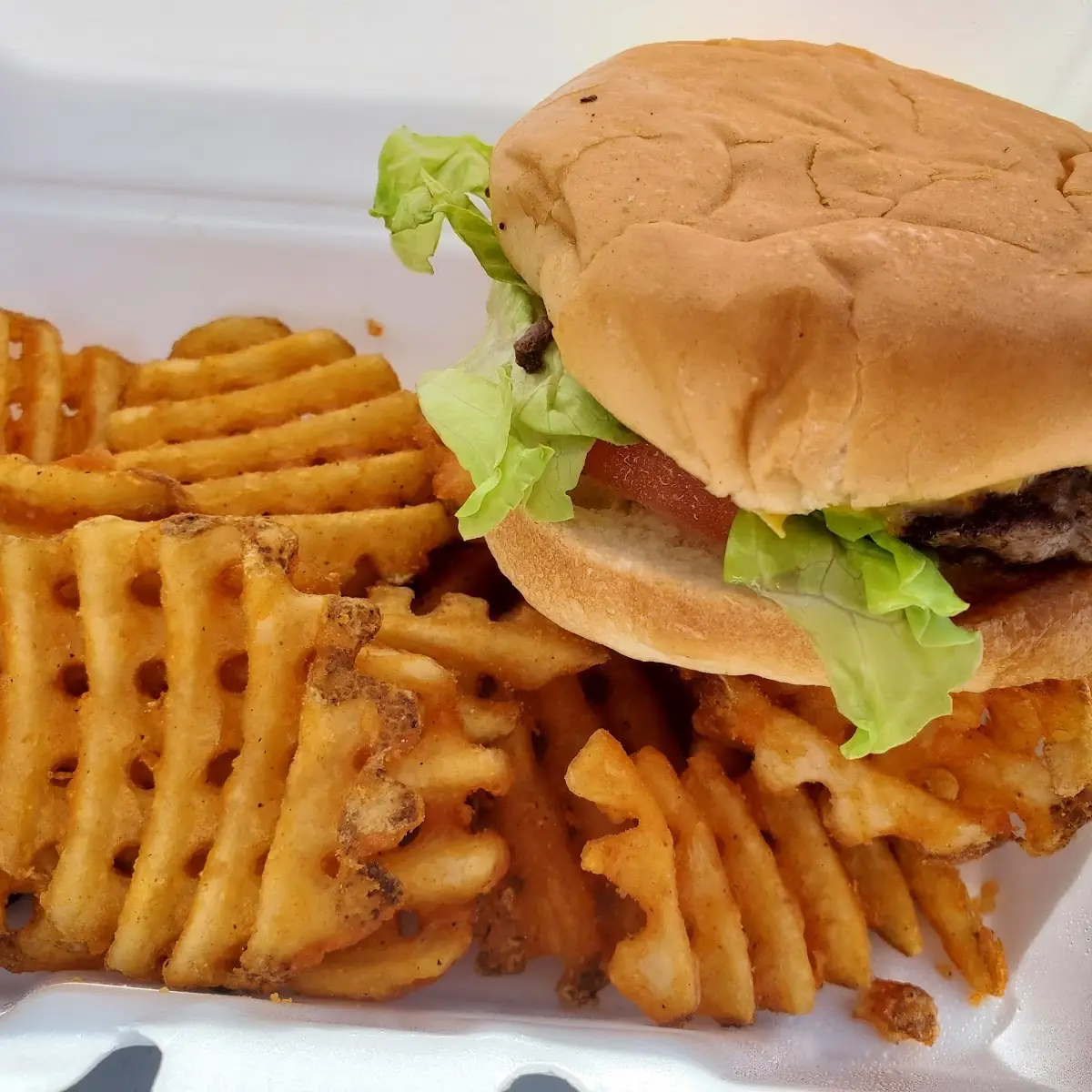 Cheeseburger with Waffle Fries
