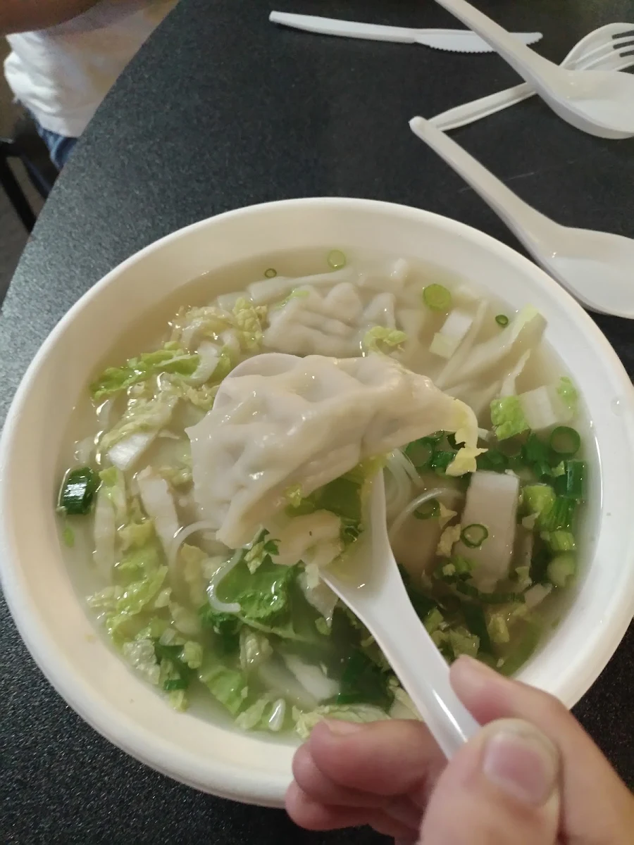 Wonton Soup