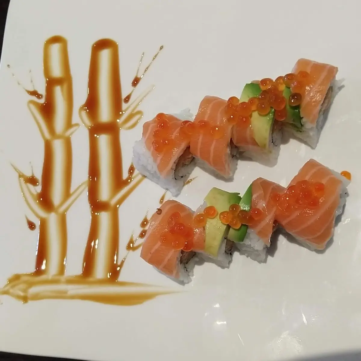 Salmon Lover