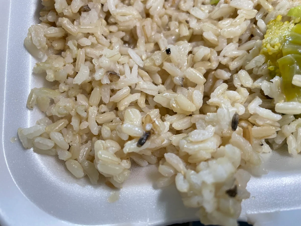 Brown Rice