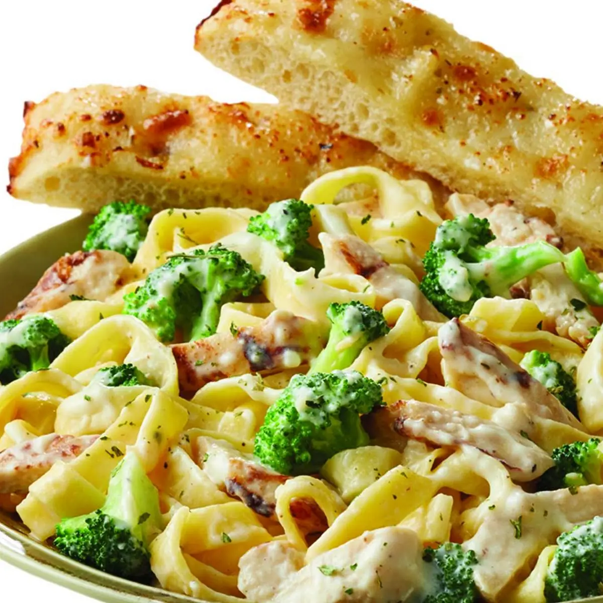 Penne Alfredo Pasta