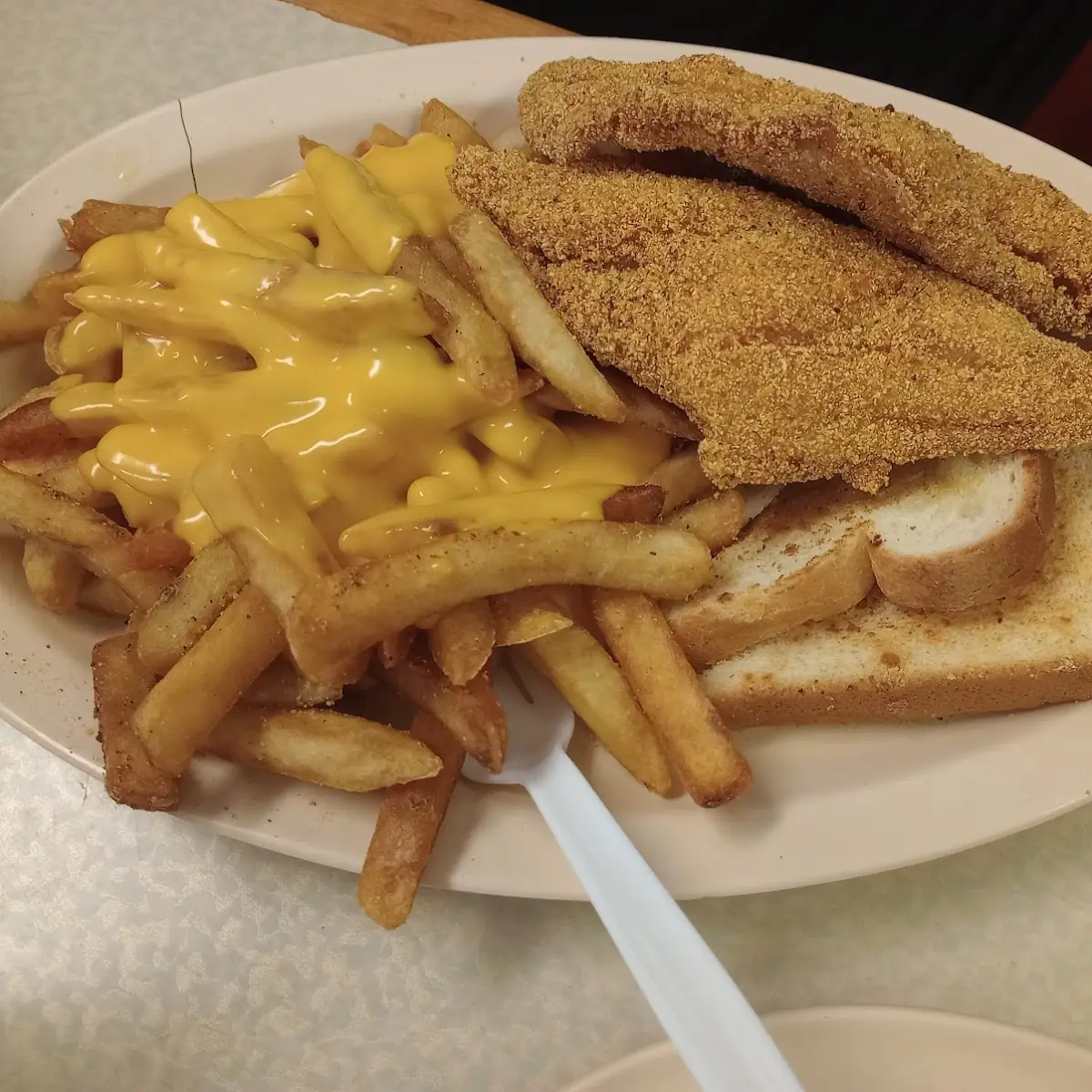 Catfish Fillet with Cheese Fries