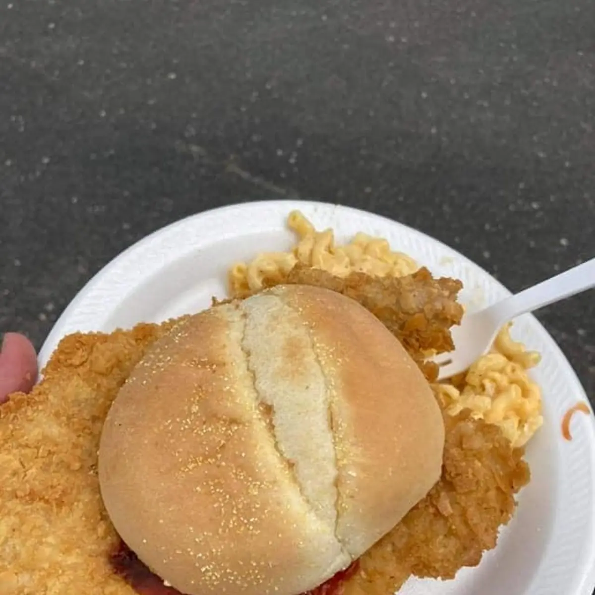 Pulled Pork Sandwich