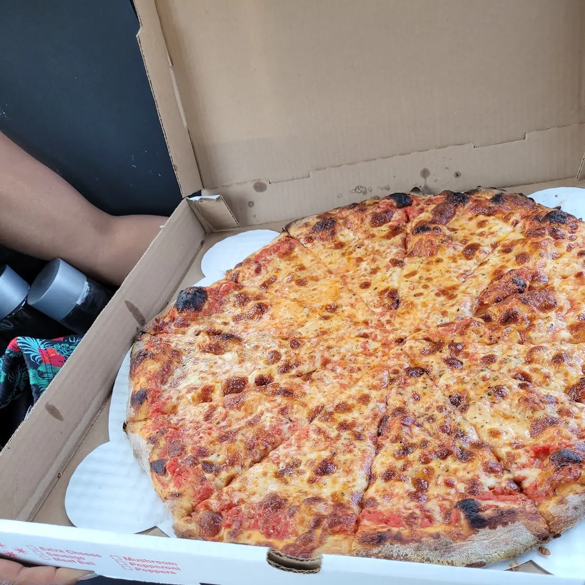 Plain Cheese Pizza