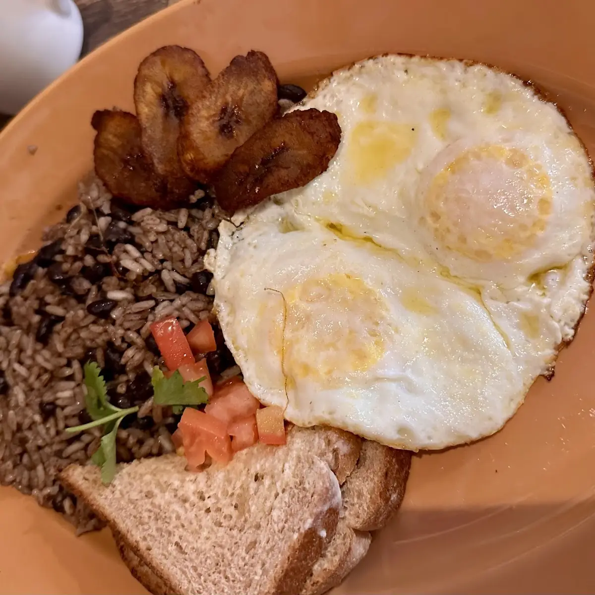 Gallo Pinto Costa Rican Traditional Breakfast