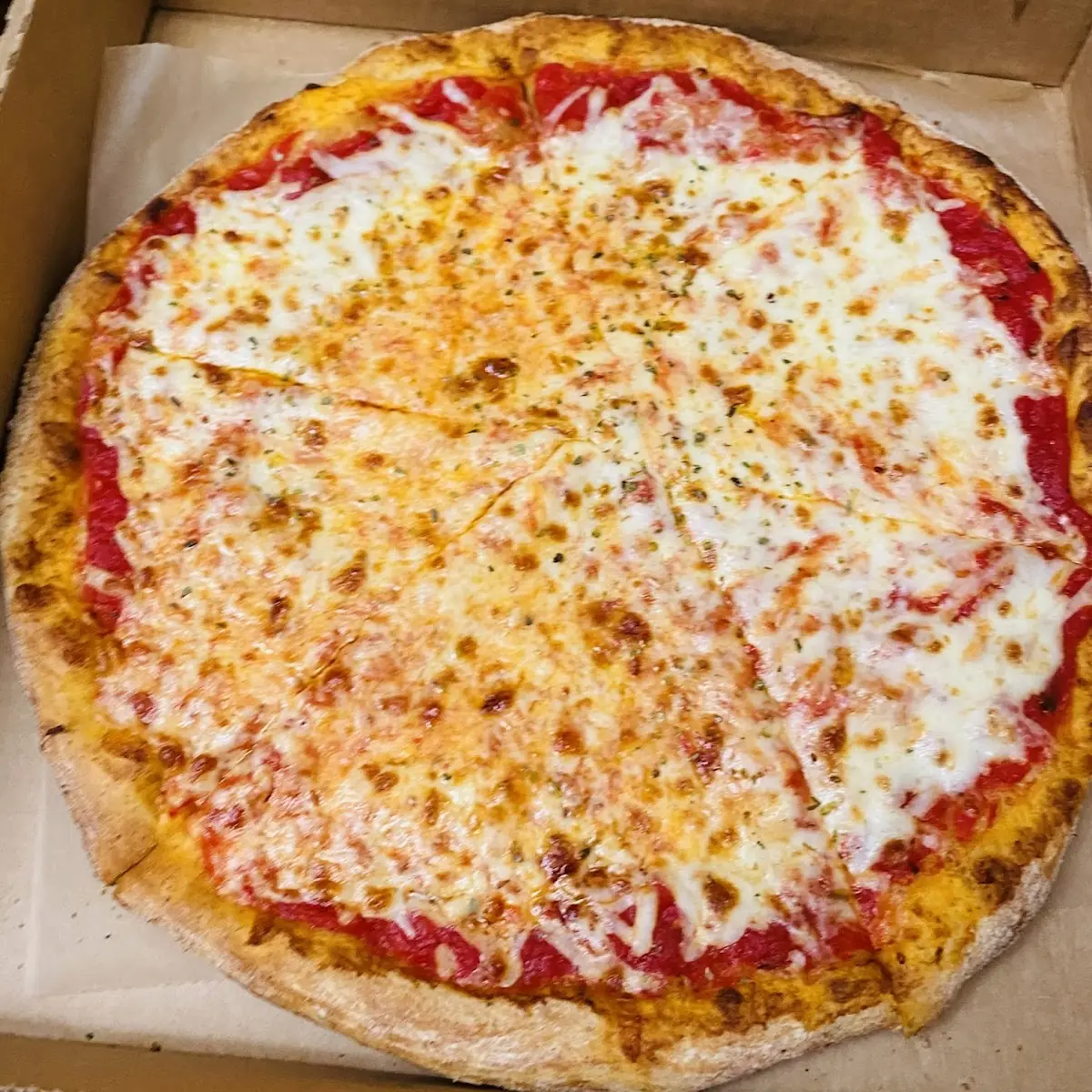 Plain Cheese Pizza