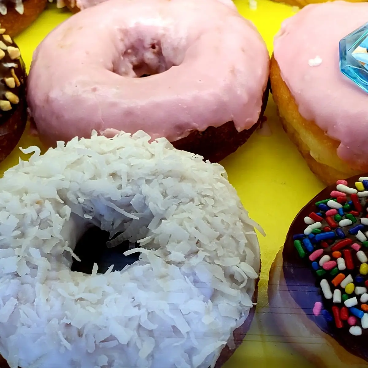 Doughnut