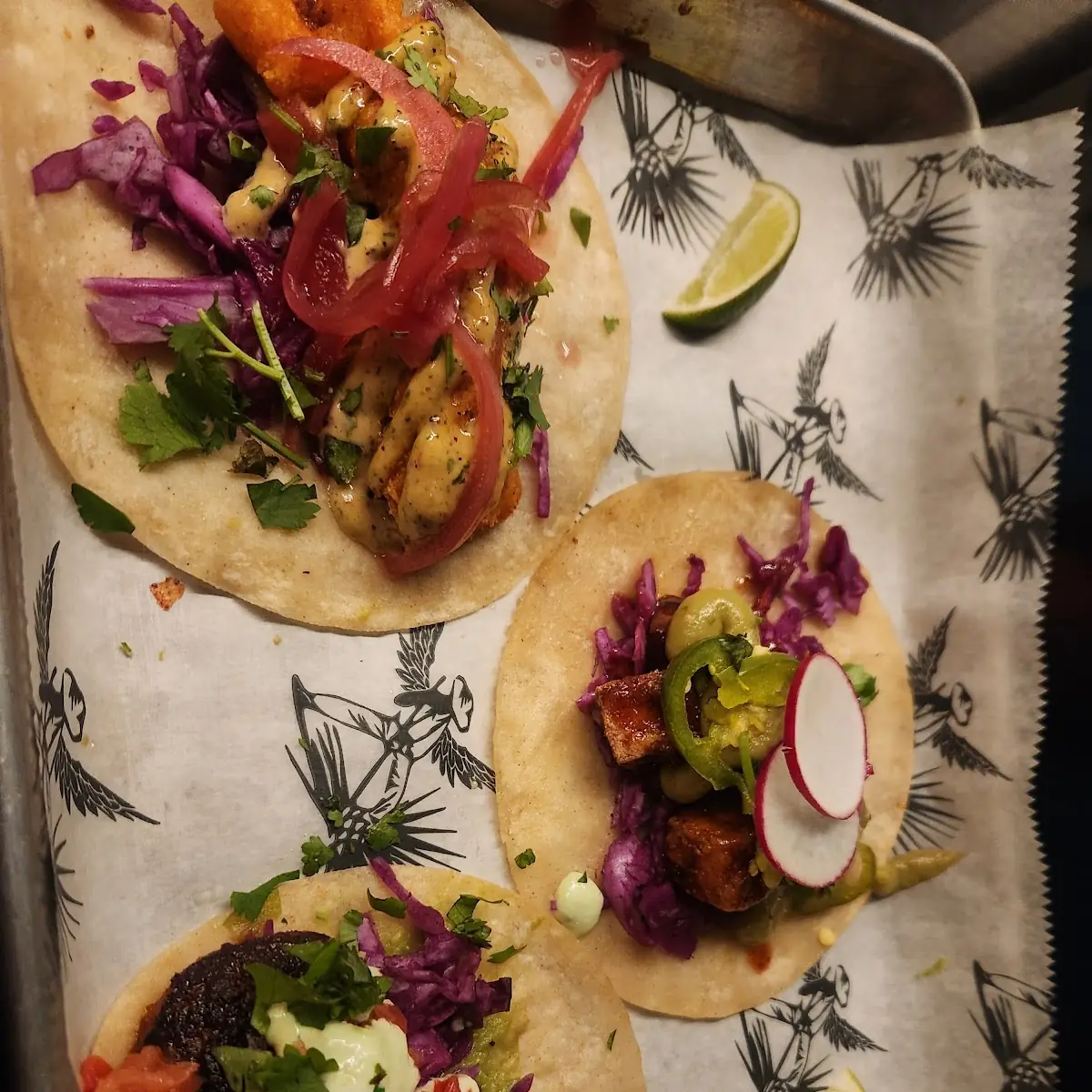 Barbacoa and Carne Asada Tacos