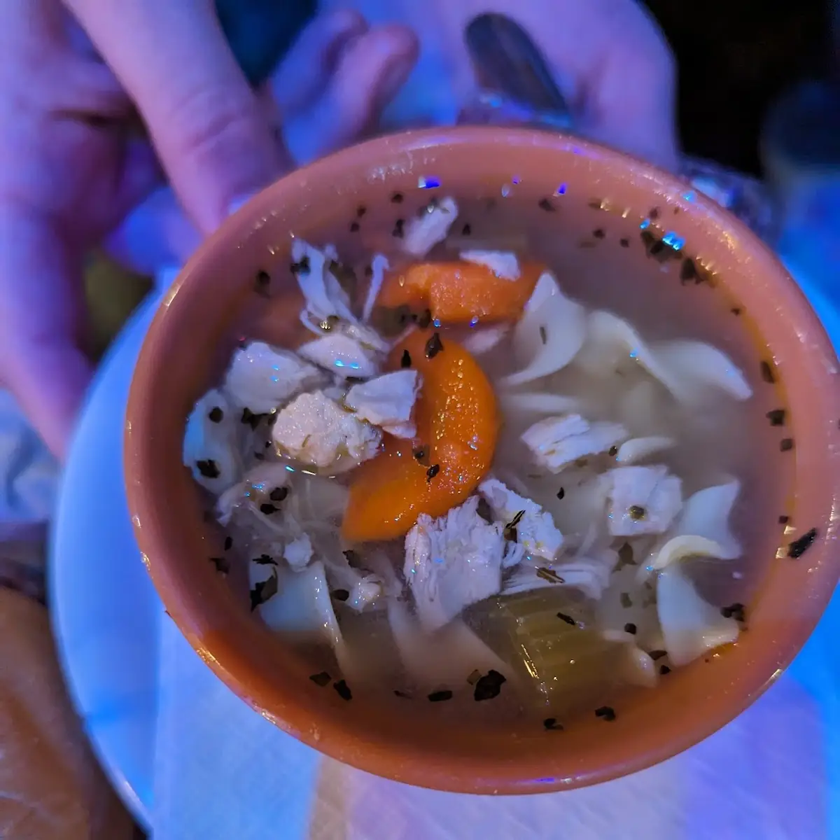 Chicken Noodle Soup