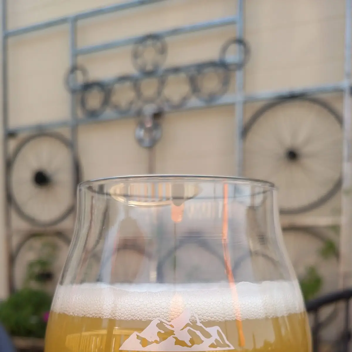 Craft Beer