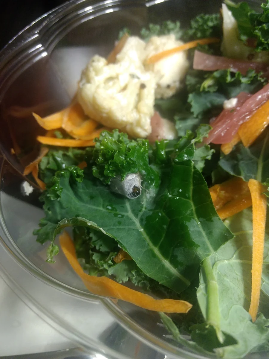 Kale Salad