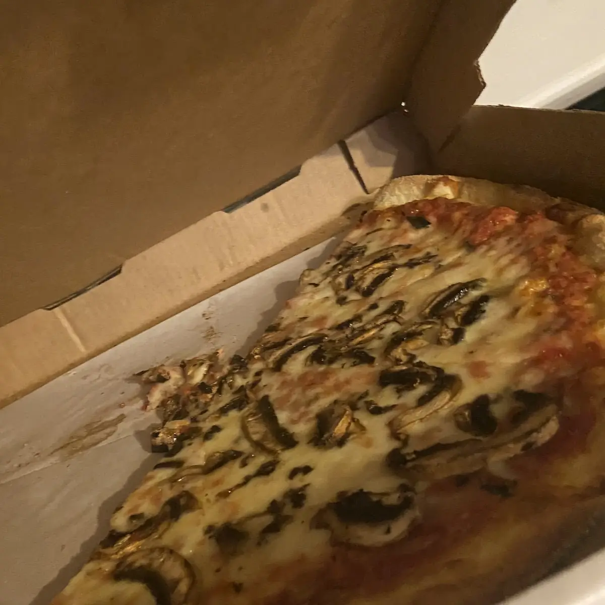 Mushroom Pizza