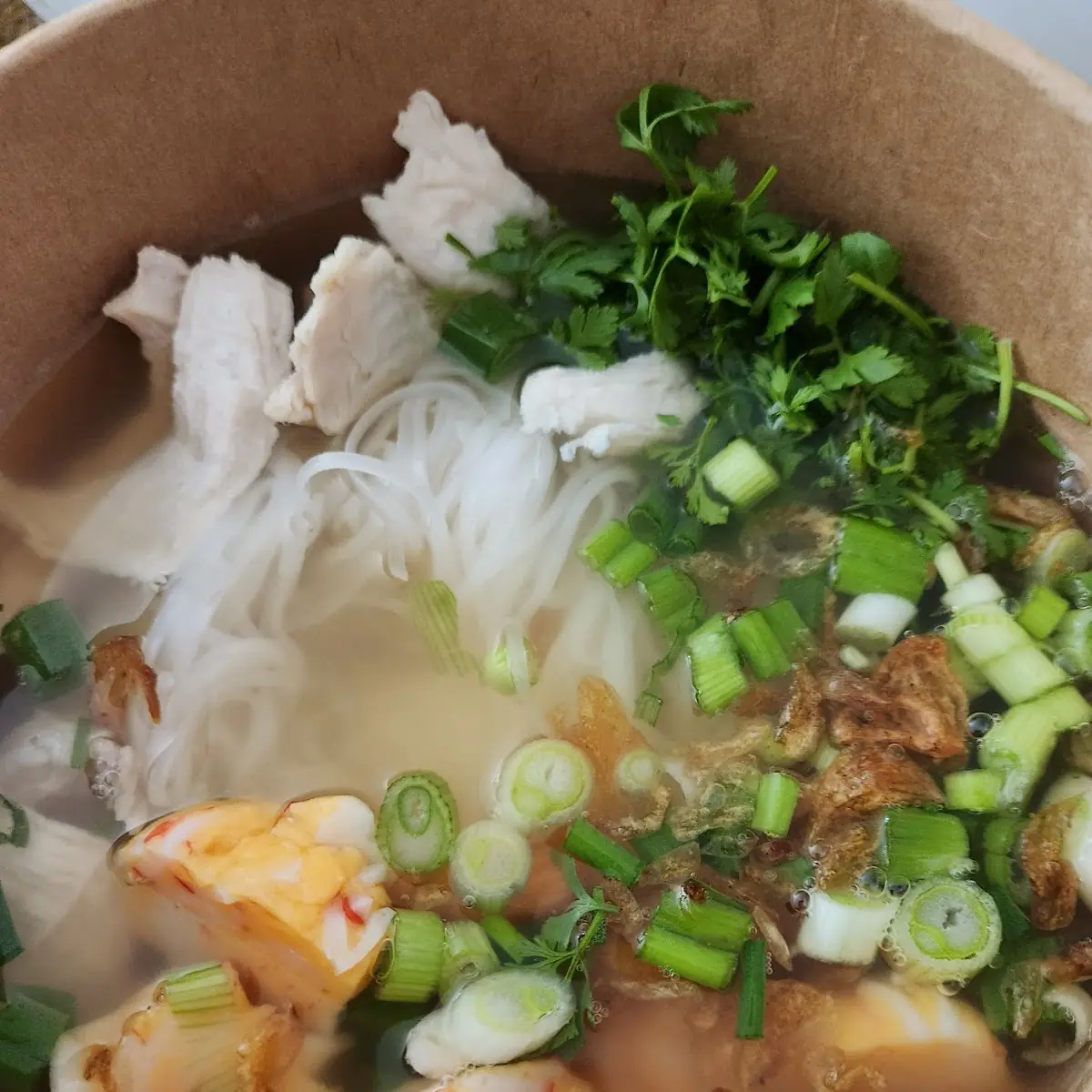 Chicken Noodle Soup