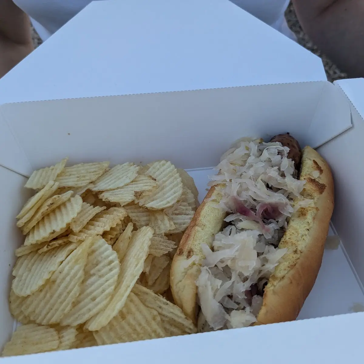 Brat and Kraut Dog