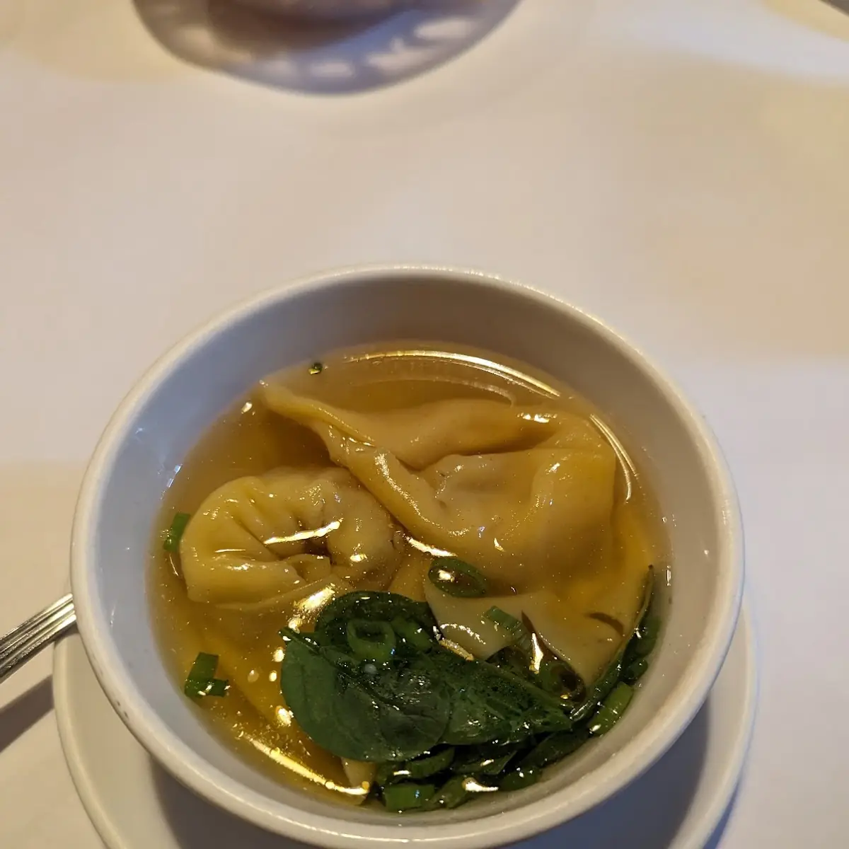 Wonton Soup