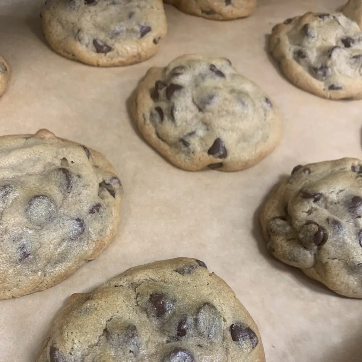 Chocolate Chip Cookie