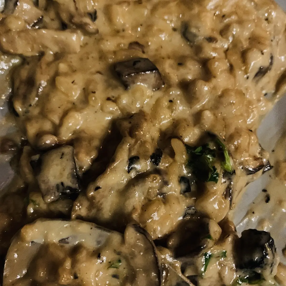 Mushroom Risotto