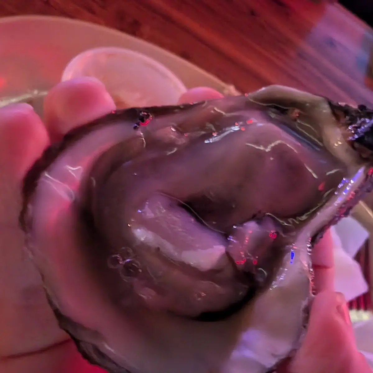 Raw Oysters