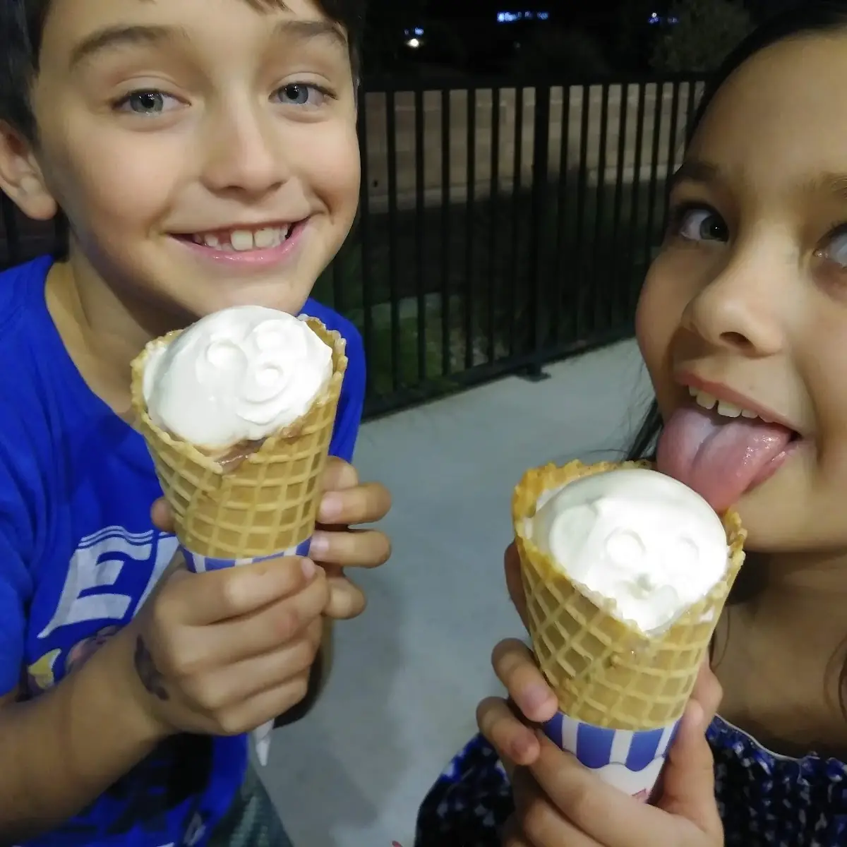 Single in Waffle Cone