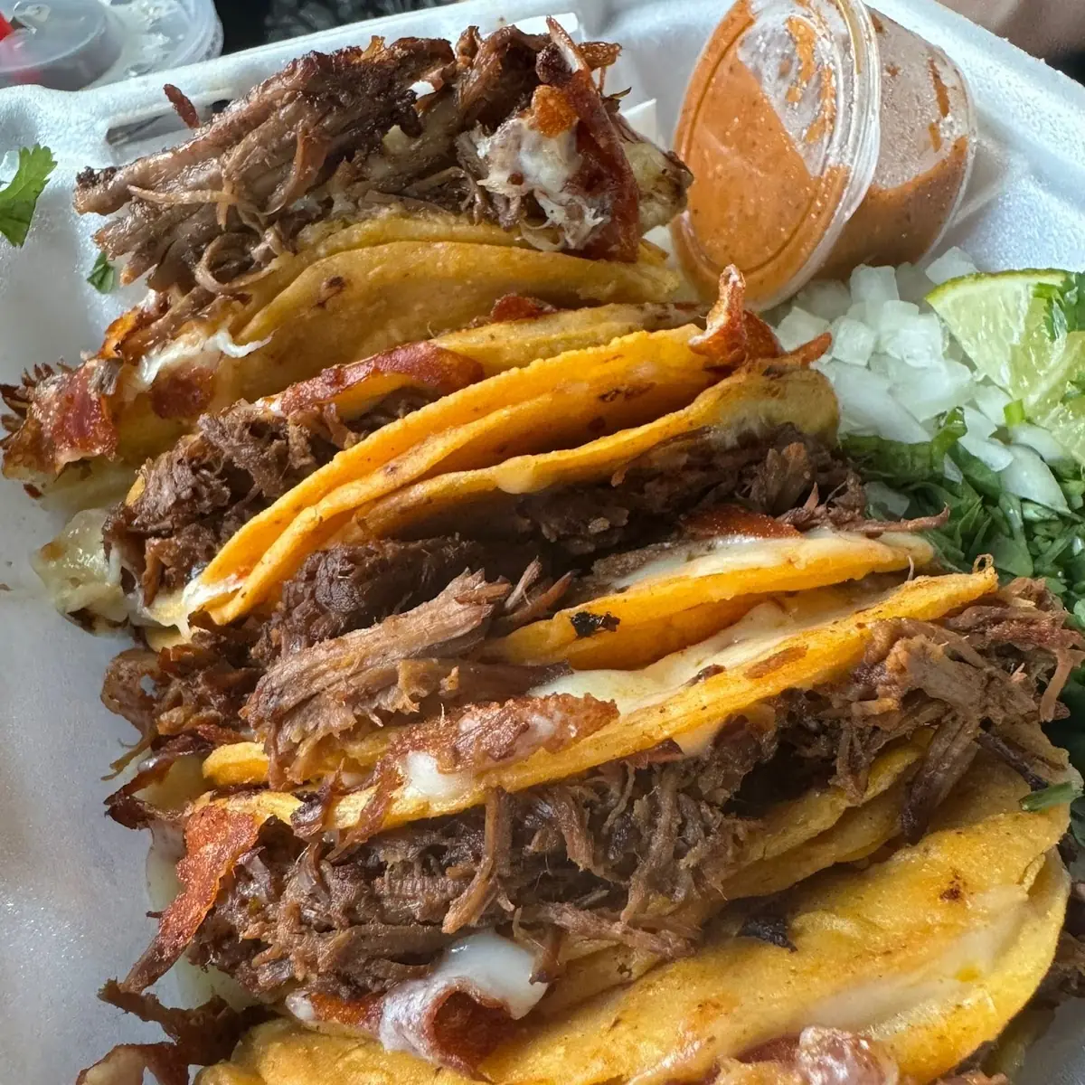 Birria Tacos