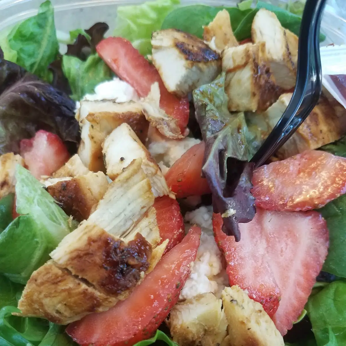 Chicken Caesar Wrap
