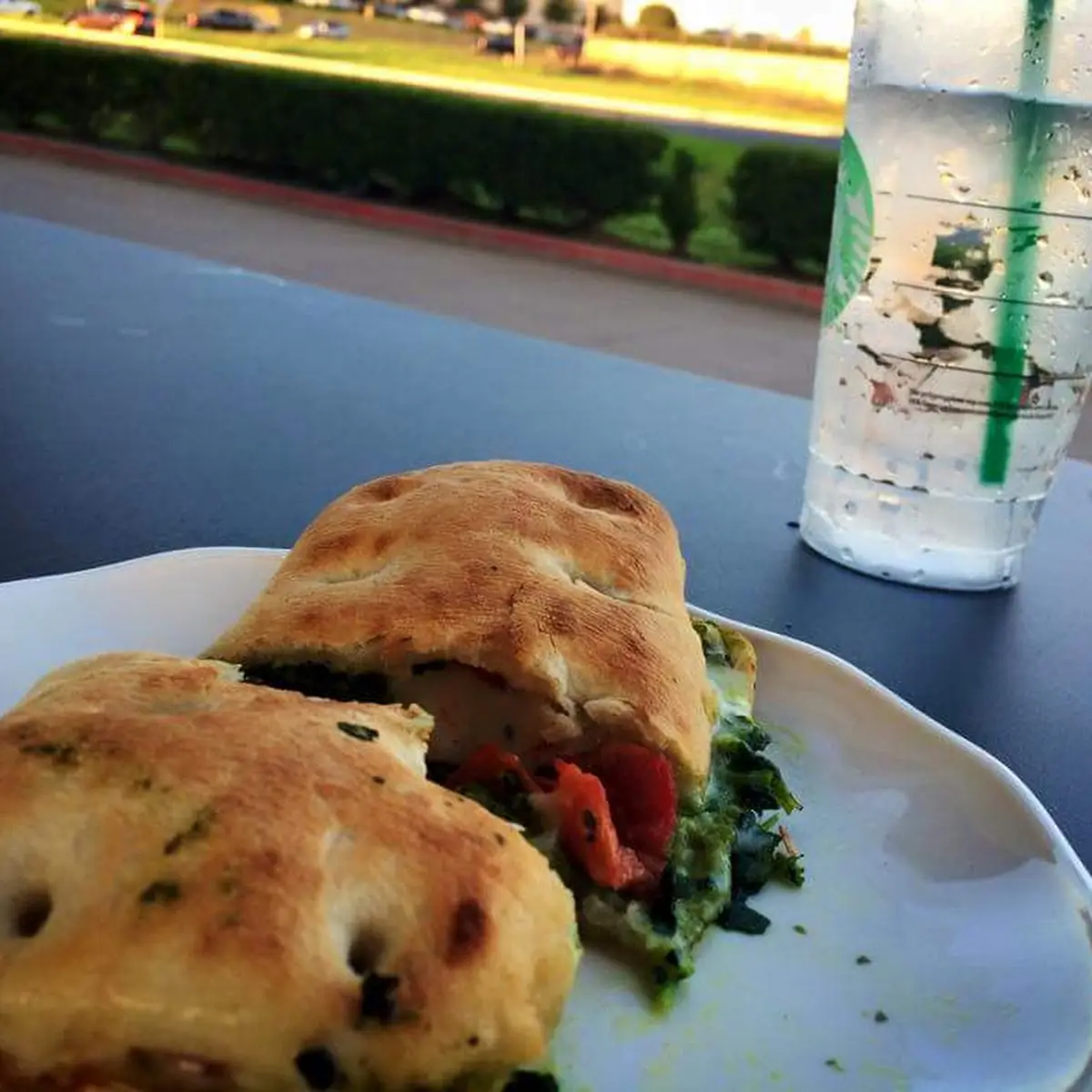 Tomato Mozzarella Panini