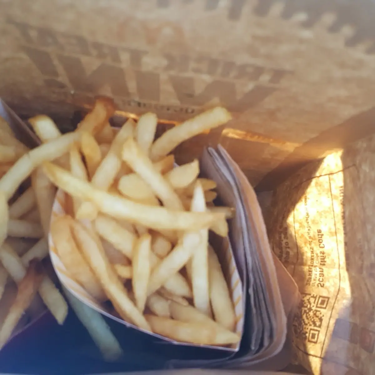World Famous Fries