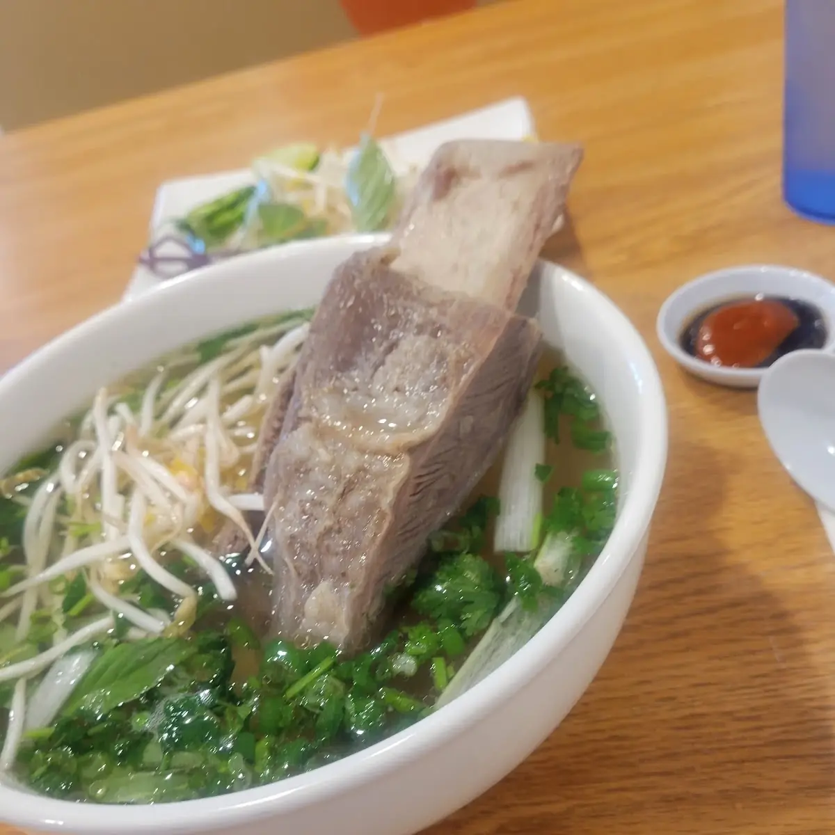 Short Rib Beef Pho