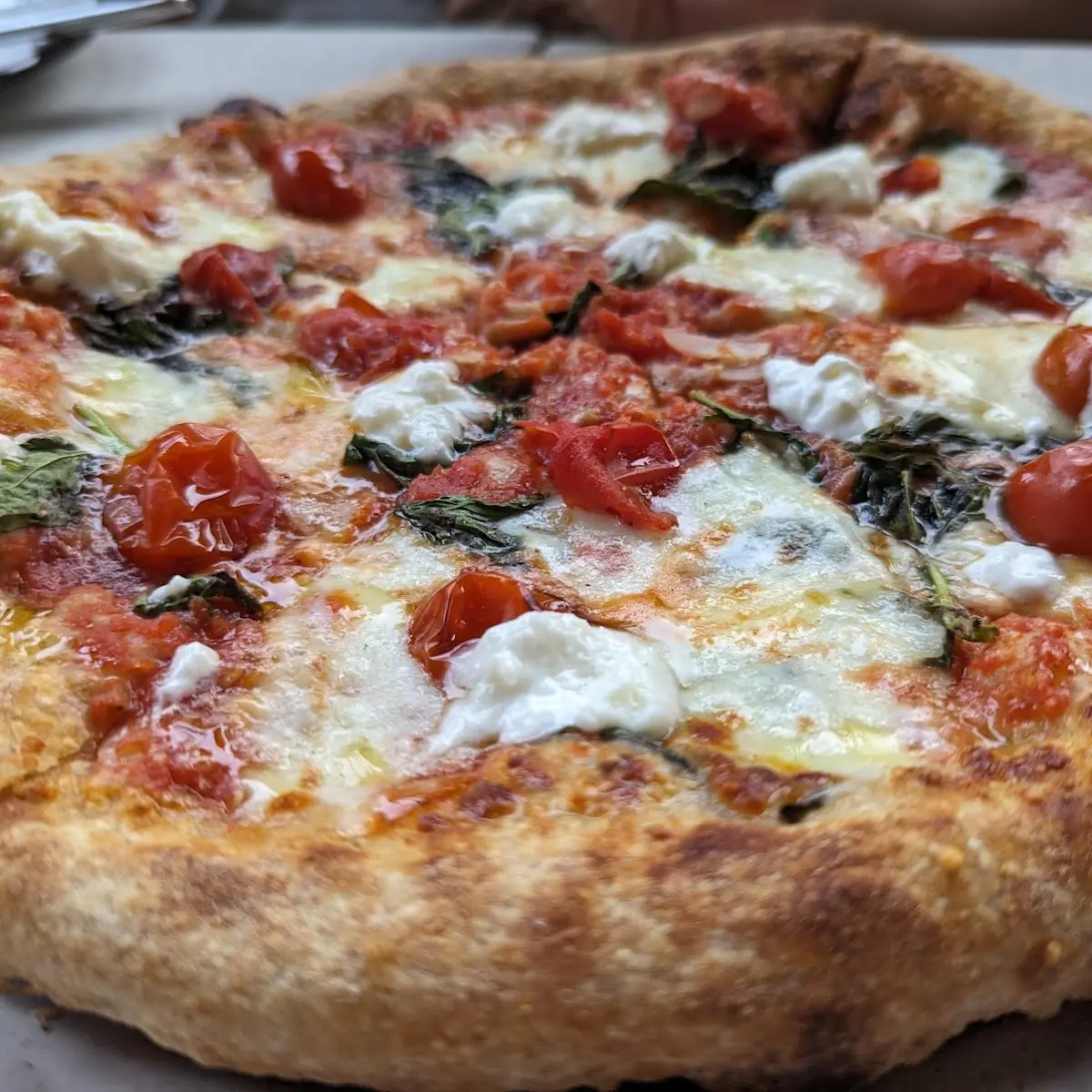 Margherita Pizza