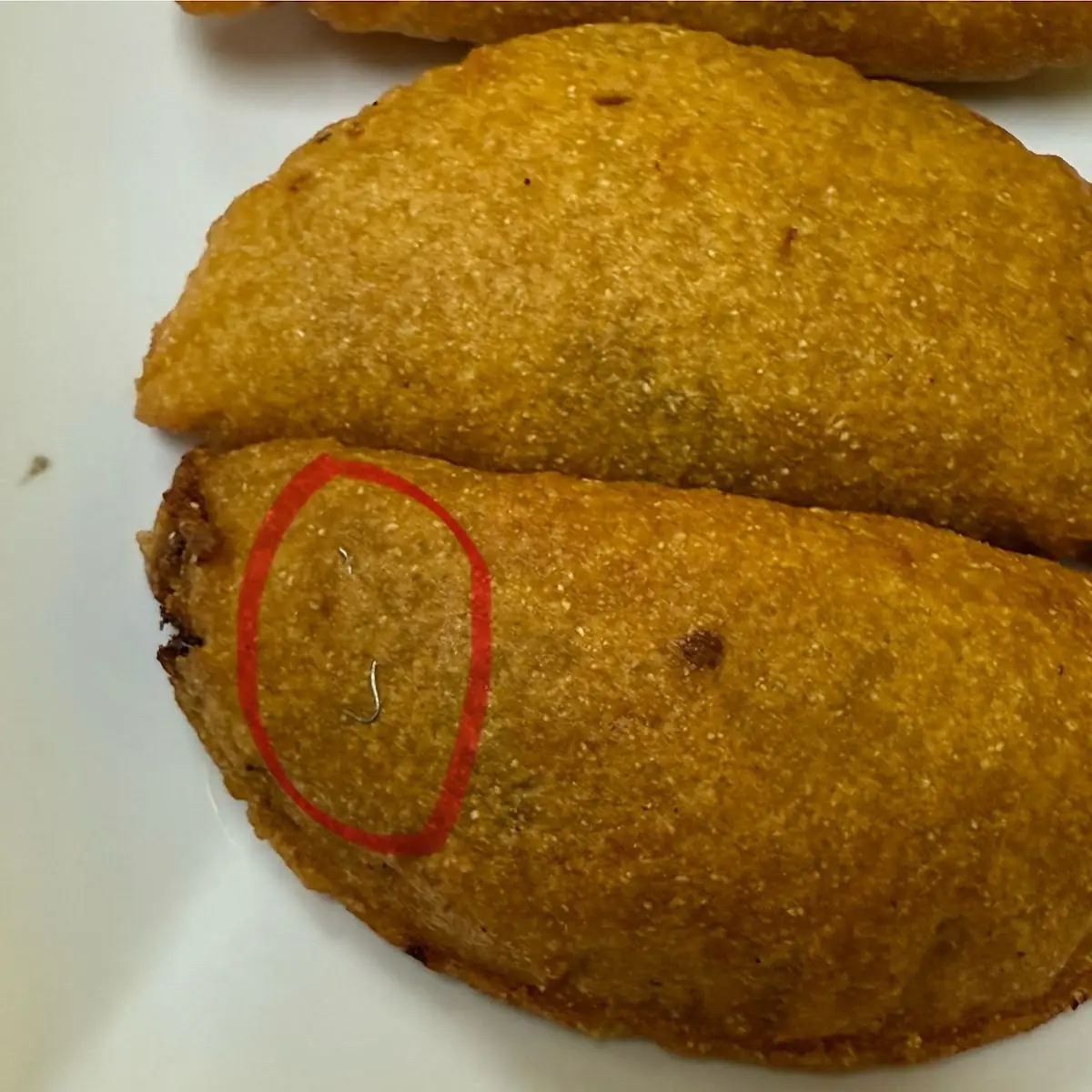 Golden Fried Empanadas