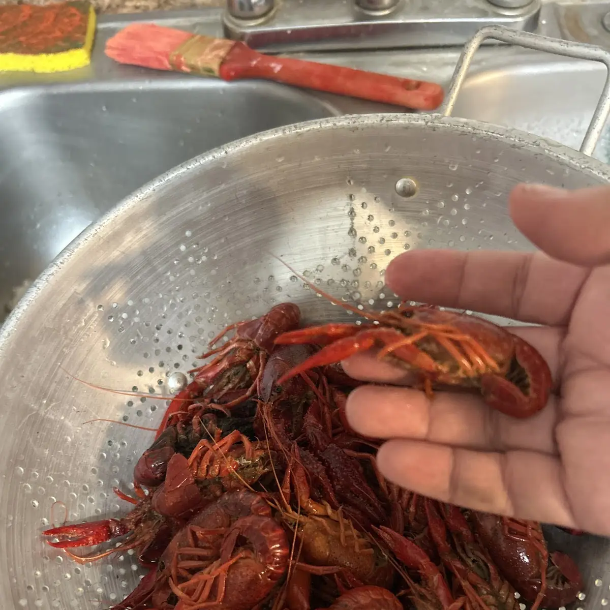Boiled Crawfish